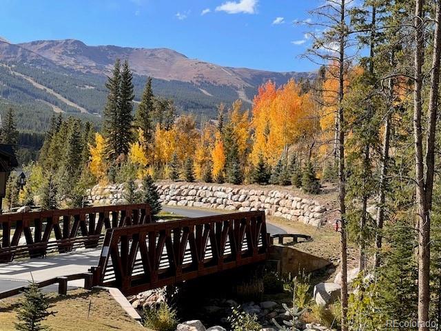 378 River Park Dr, Breckenridge, CO 80424