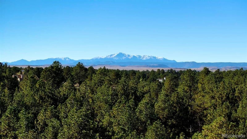 1133 Tomichi Dr, Franktown, CO 80116