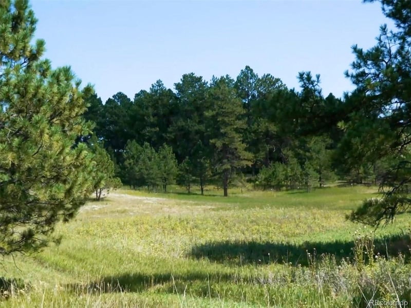 1133 Tomichi Dr, Franktown, CO 80116