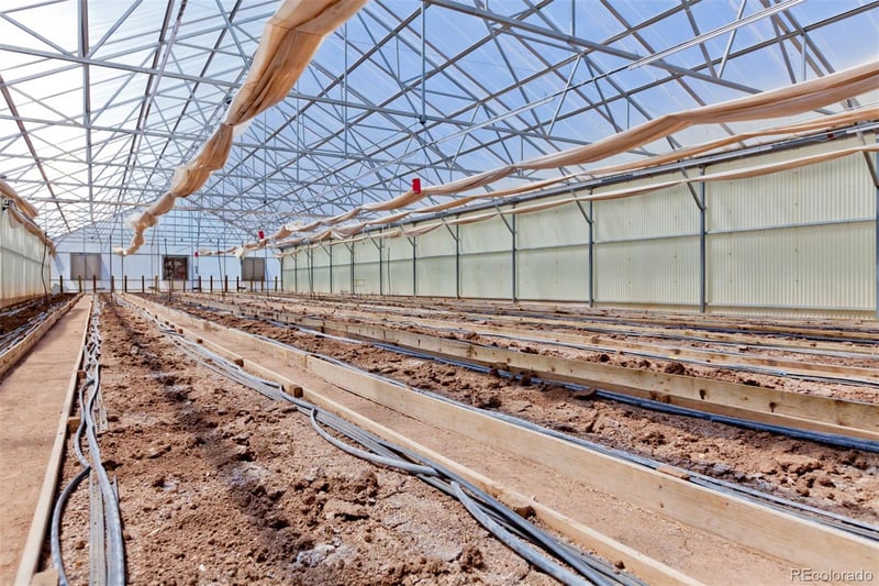 3281 C Rd, Palisade, CO 81526