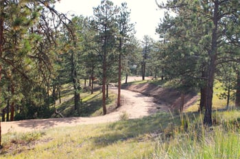 2414 Legacy Ranch Rd, Evergreen, CO 80439