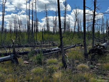 1175-1176 Macomber Ln, Fort Garland, CO 81133