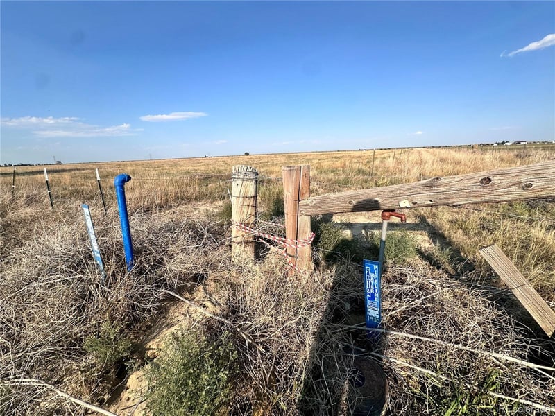 10378 County Road 6, Wiggins, CO 80654