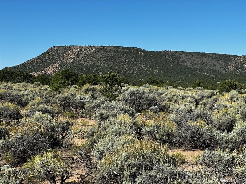 735 Slegers Rd Lot 735, Fort Garland, CO 81133