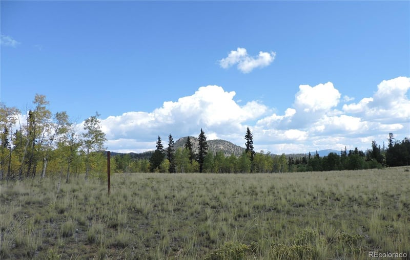 16 Buckshot Trl, Como, CO 80432