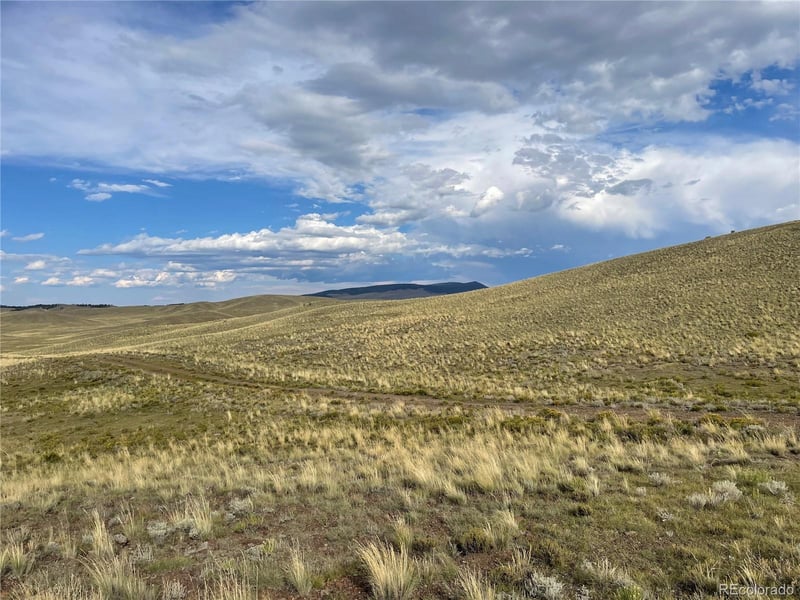 000 Taos Trl, Hartsel, CO 80449