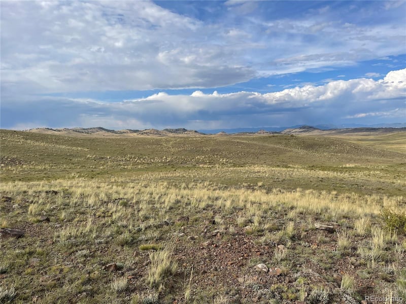 000 Taos Trl, Hartsel, CO 80449
