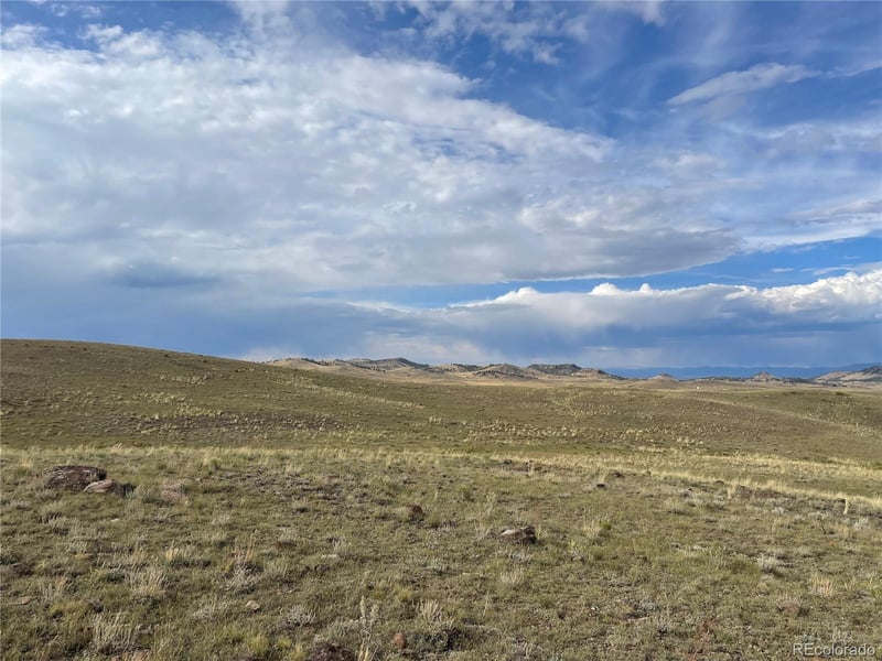 000 Taos Trl, Hartsel, CO 80449