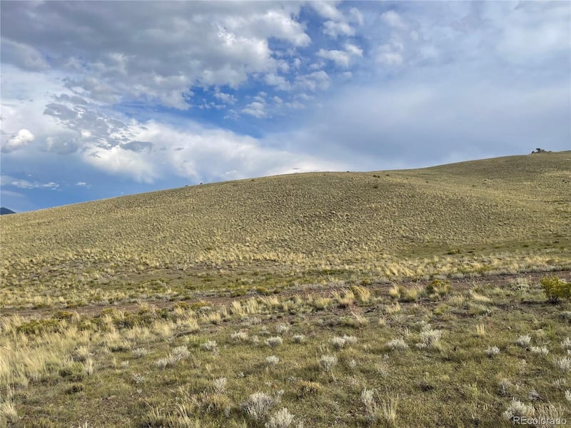 000 Taos Trl, Hartsel, CO 80449