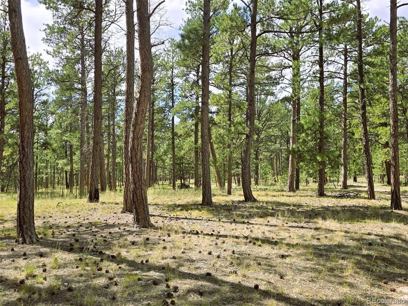 S Meridian Rd, Colorado Springs, CO 80929