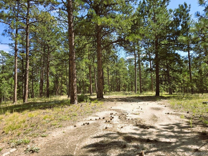 S Meridian Rd, Colorado Springs, CO 80929