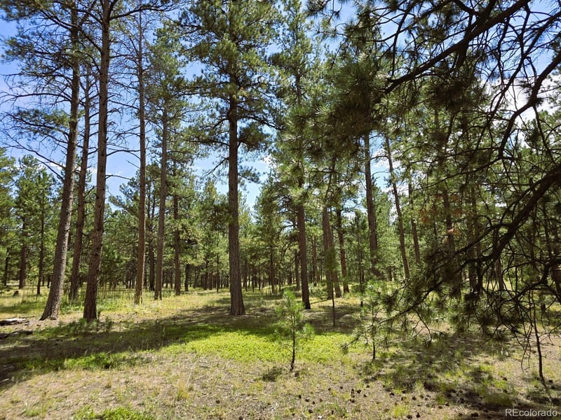 S Meridian Rd, Colorado Springs, CO 80929