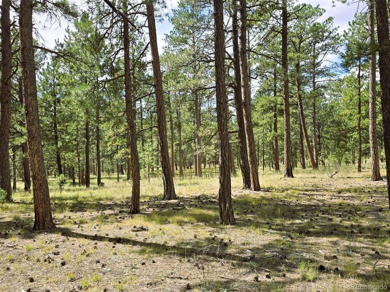S Meridian Rd, Colorado Springs, CO 80929