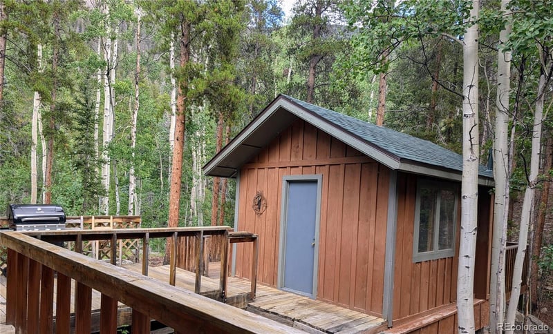 23795 County Road 162, Nathrop, CO 81236