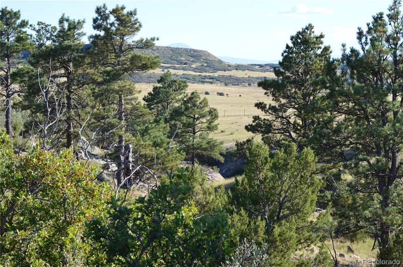 00 Plata Peak Rd, Rye, CO 81069
