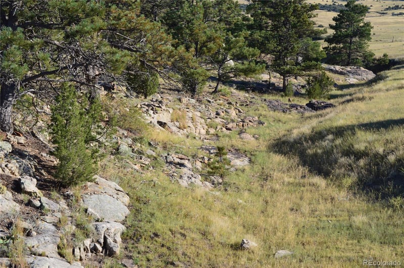 00 Plata Peak Rd, Rye, CO 81069