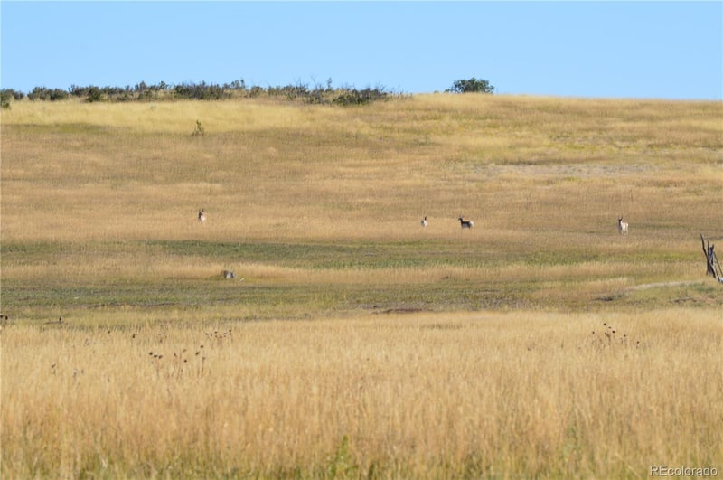 00 Thacker Rd, Rye, CO 81069