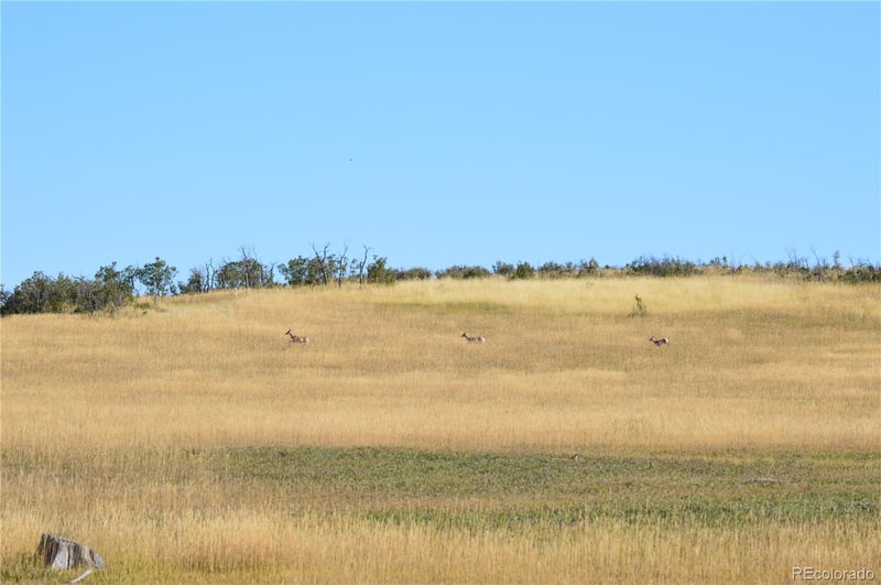 00 Thacker Rd, Rye, CO 81069