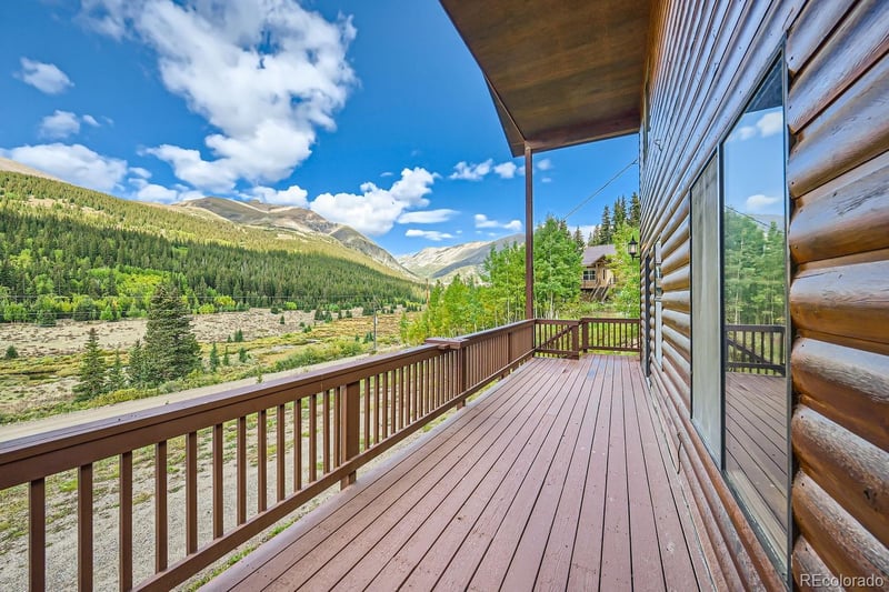 2554 County Road 4, Alma, CO 80420