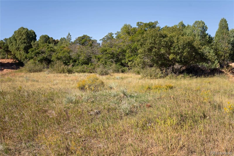 7911 Raphael Ln, Littleton, CO 80125