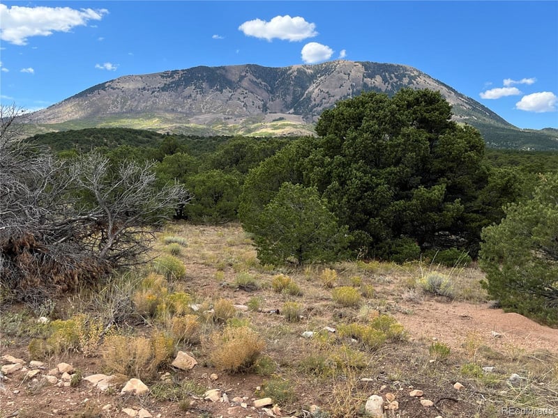 County Rd 531, Gardner, CO 81040