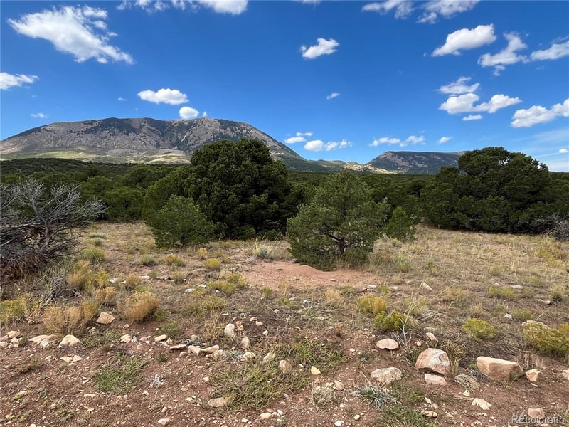 County Rd 531, Gardner, CO 81040