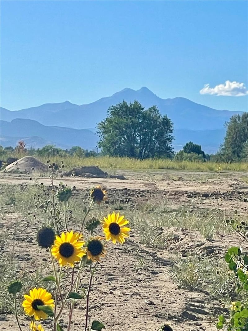 00000 Fairview St, Firestone, CO 80520