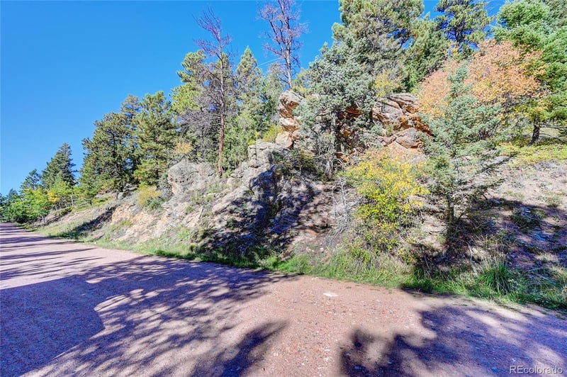 11723 Braun Way, Conifer, CO 80433