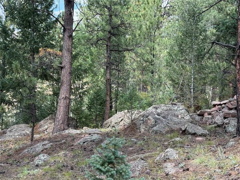 14054 S Wandcrest Dr, Pine, CO 80470