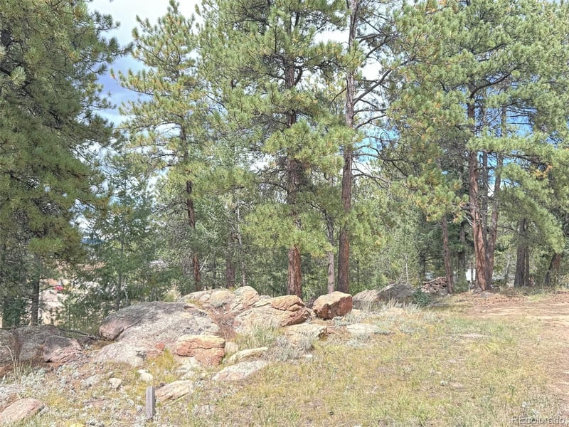 14054 S Wandcrest Dr, Pine, CO 80470