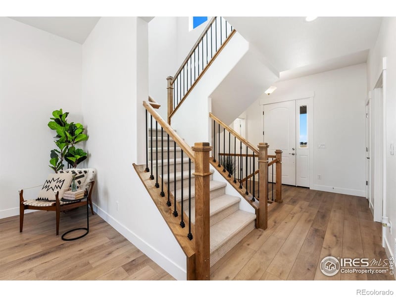 838 Loess Ln, Windsor, CO 80550