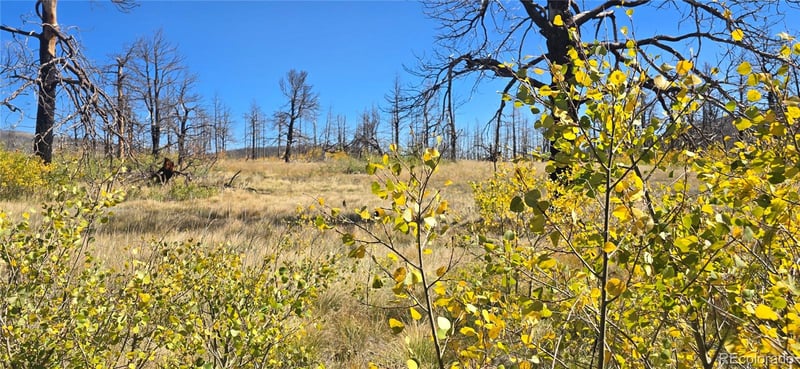 Lot 1684 Emery Loop, Fort Garland, CO 81133