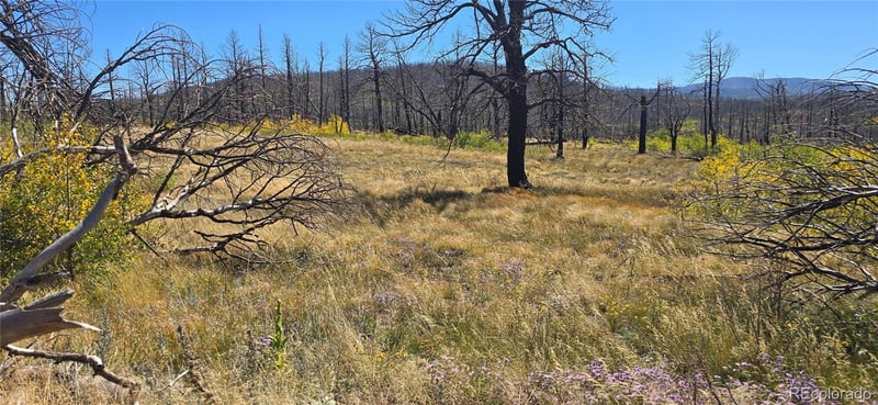 Lot 1684 Emery Loop, Fort Garland, CO 81133