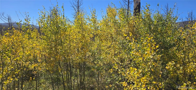 Lot 1684 Emery Loop, Fort Garland, CO 81133