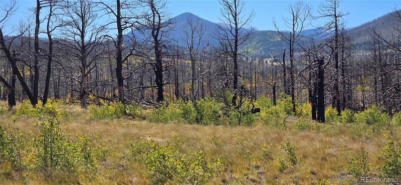 Lot 1684 Emery Loop, Fort Garland, CO 81133