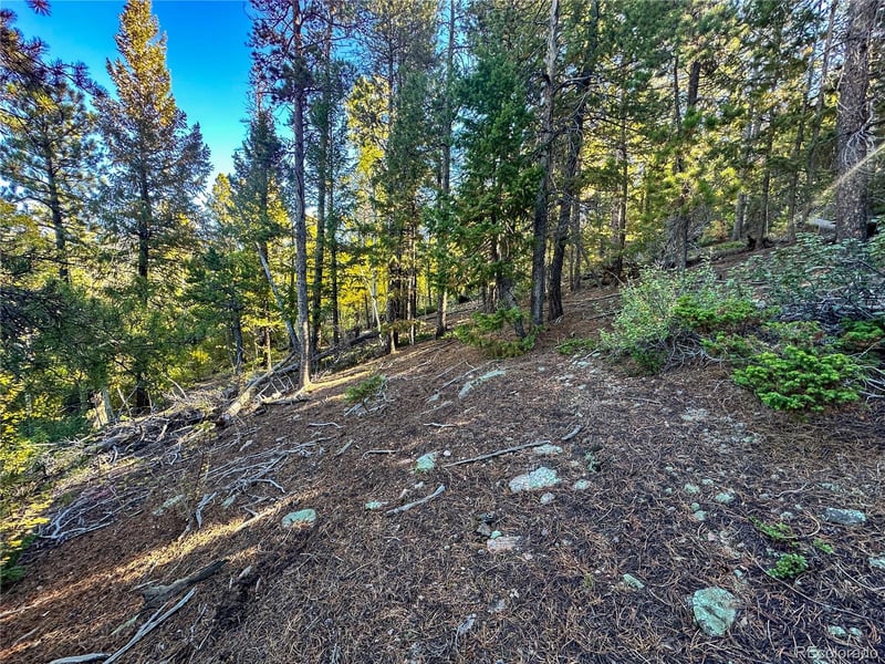 Lot 2 Geneva Rd Lot 02, Golden, CO 80403