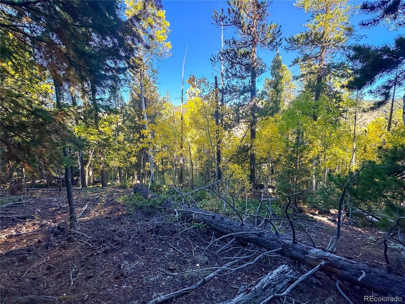 Lot 2 Geneva Rd Lot 02, Golden, CO 80403