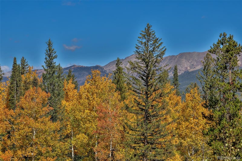 745 Bear Trl, Winter Park, CO 80482