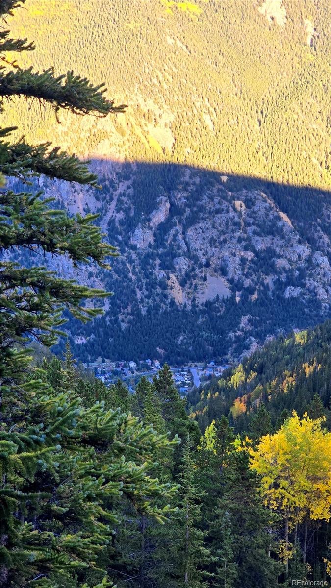 Democrat Mountain Claims, Georgetown, CO 80444