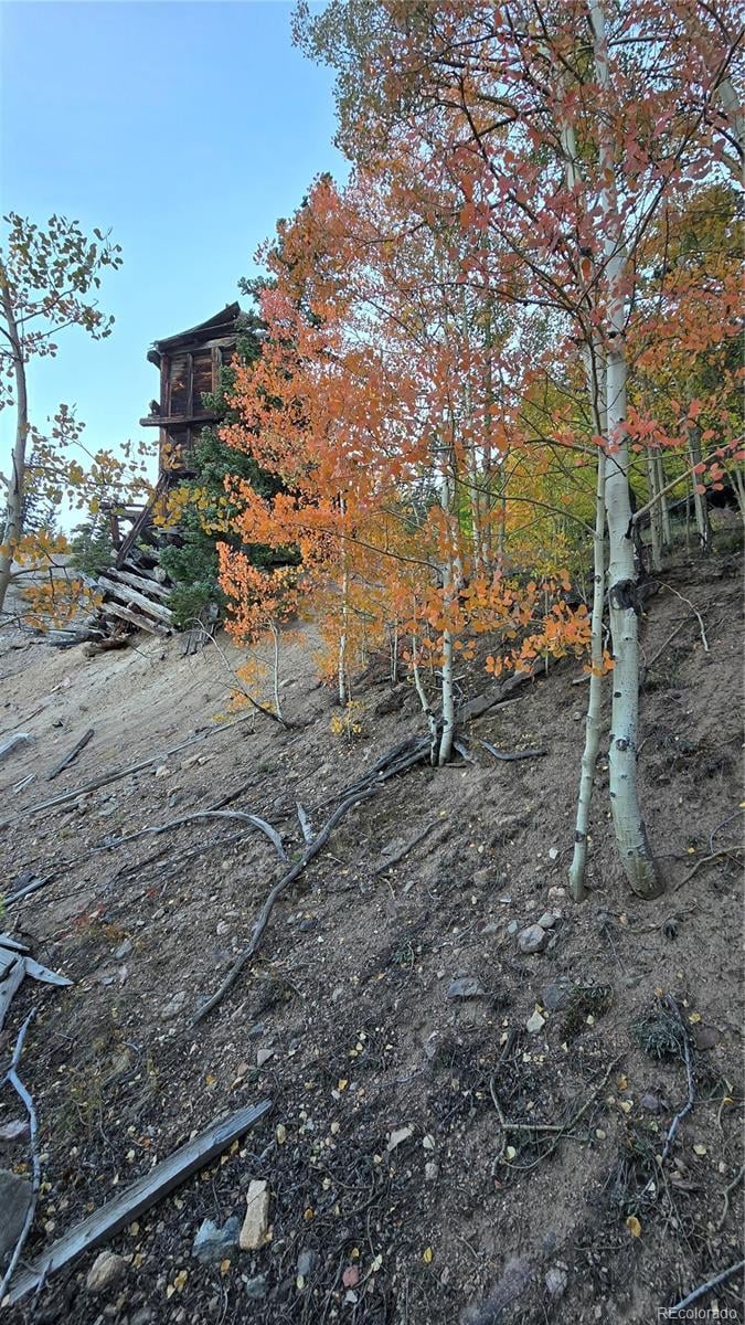 Democrat Mountain Claims, Georgetown, CO 80444