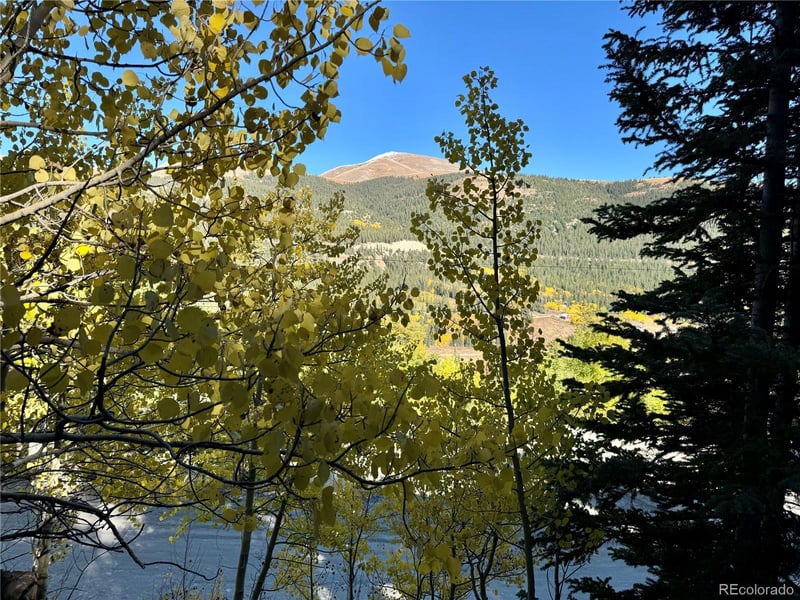 1032 Roberts Rd Lot 22, Alma, CO 80420