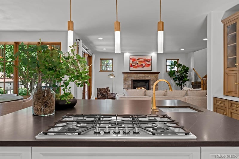 605 S Gilpin St, Denver, CO 80209