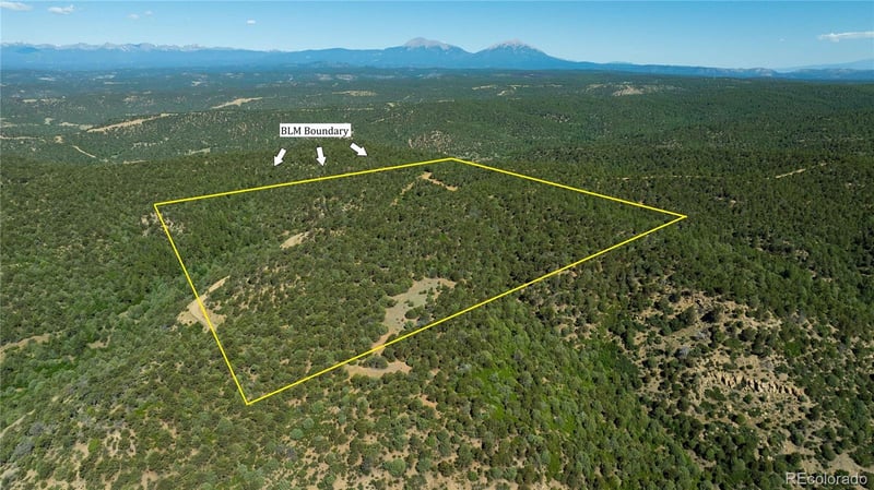 15536 Ponderosa Loop, Boncarbo, CO 81024