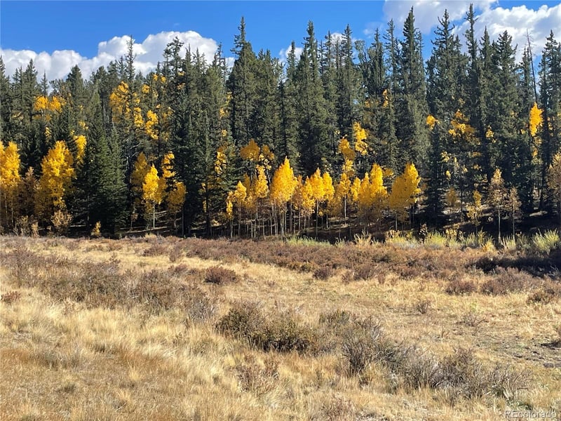 581 Longbow Dr, Como, CO 80432
