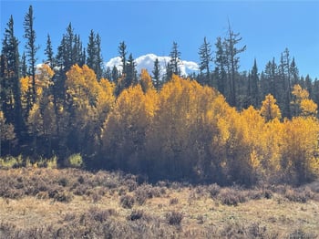 581 Longbow Dr, Como, CO 80432