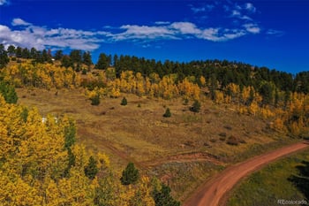 230 Penrose Cir, Cripple Creek, CO 80813