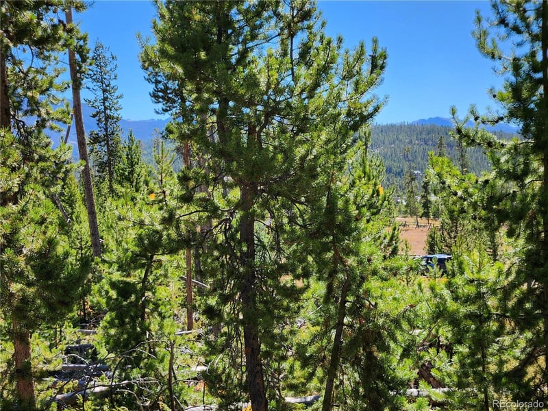 37 Cr 4628 Lot 30, Grand Lake, CO 80447