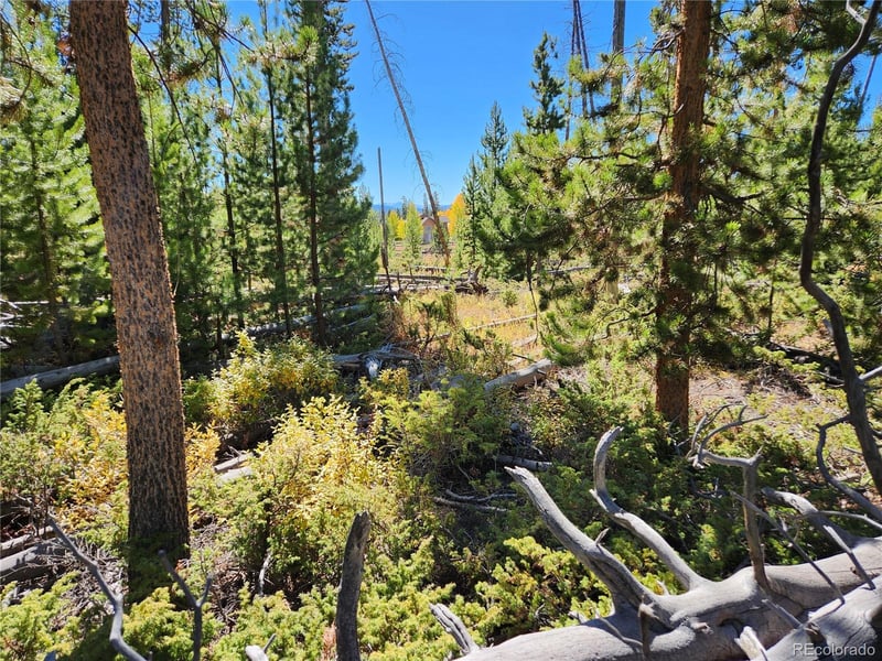 37 Cr 4628 Lot 30, Grand Lake, CO 80447