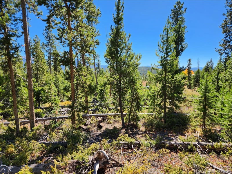 37 Cr 4628 Lot 30, Grand Lake, CO 80447
