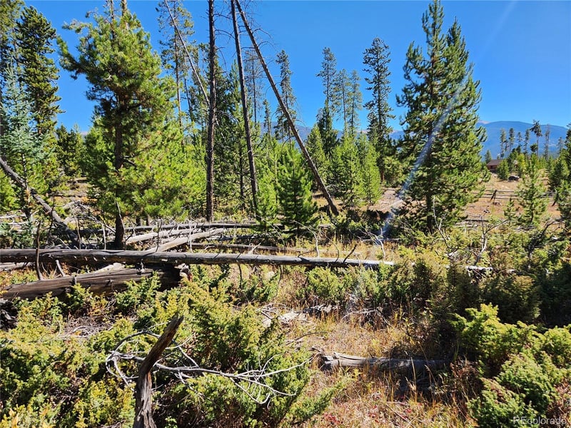 37 Cr 4628 Lot 30, Grand Lake, CO 80447